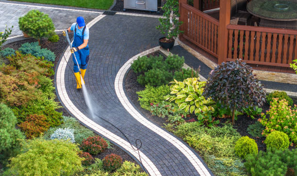 Best Local Pressure Washing Services  in White Plains, NC