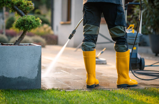 Best Pressure Washing Patio  in White Plains, NC